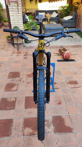 Specialized Stumpjumper Evo