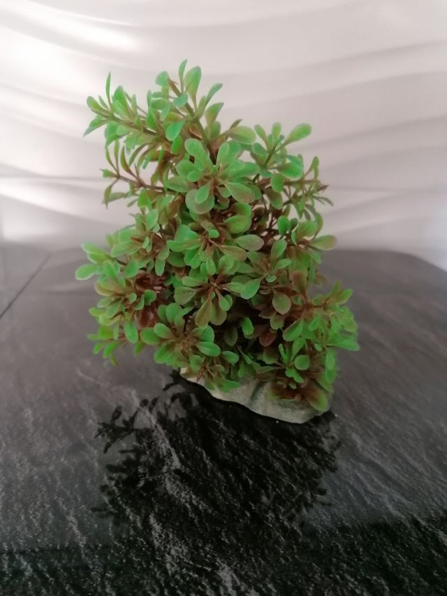 Pianta finta per acquario con base rocciosa