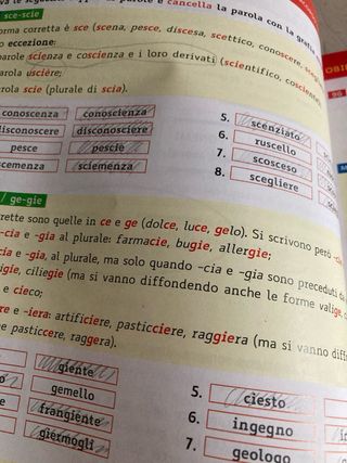 Con metodo. Per le Scuole superiori. Con e-book...