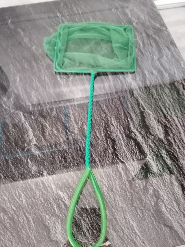 Retino per acquario verde