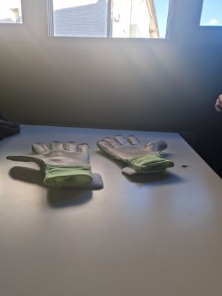 Guantes de portero Puma