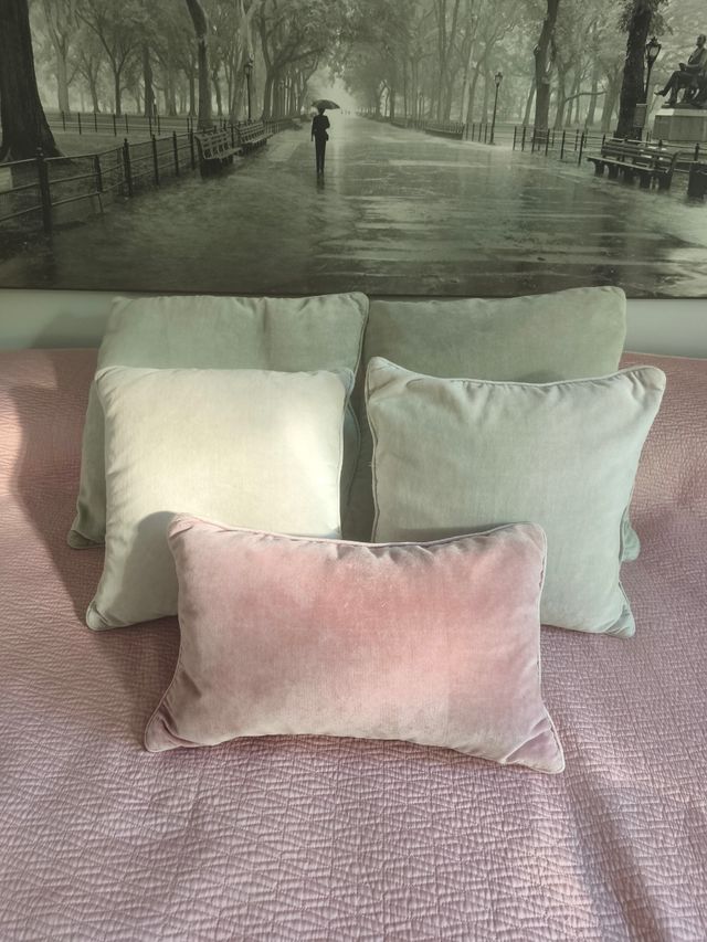 Cinco Fundas Cojín Terciopelo