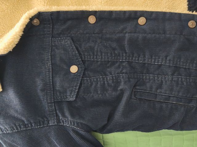 Giacca Levis Sherpa Blu unisex