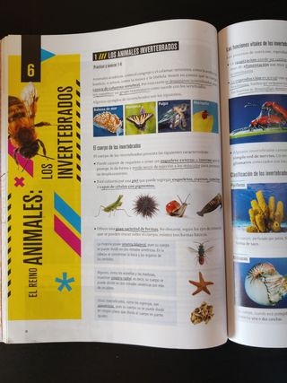 Proyecto: FanFest - Biología y Geología 1 ESO