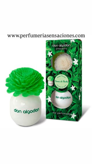 Flor perfumada Dama de Noche Don Algodón