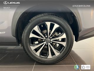 Lexus NX300h PREMIUM 2021 REF 3635