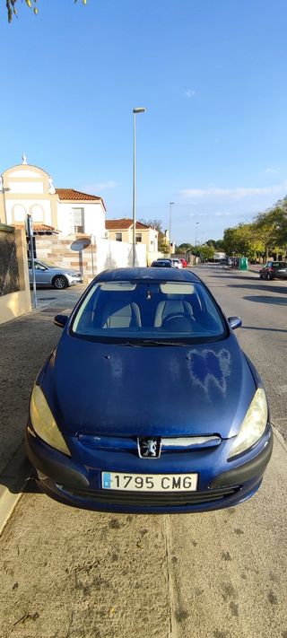 161.000 km | Peugeot 307 2.0 HDi 90CV | 