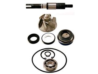 Bomba agua Honda SH Dylan Passion Nes Fes 125 150