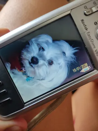 Cámara Digital Kodak 8.0 Megapíxeles