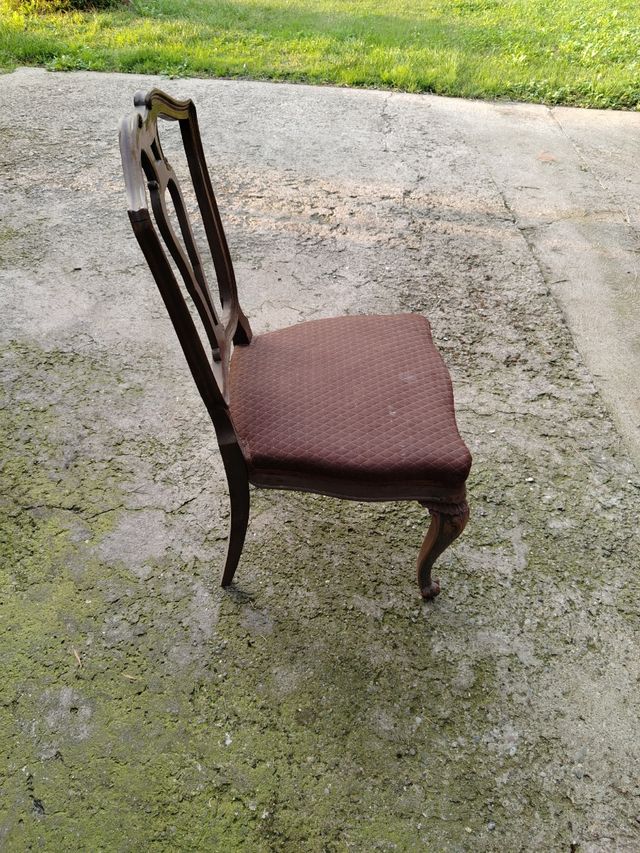 N. 7 Sedie imbottite in legno marrone