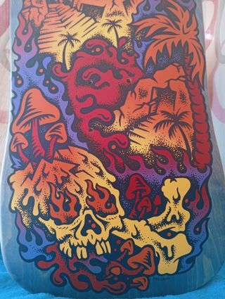 Tabla Skateboard Old School Cruiser Santa Cruz.