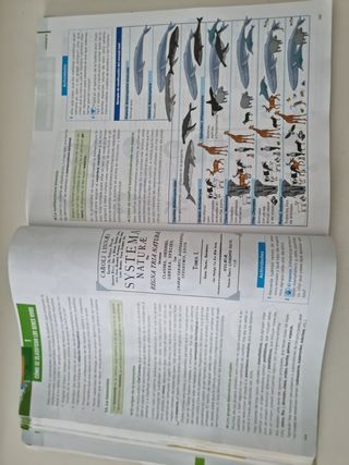 Set/Pack de libros 1°Bachillerato