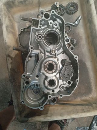 Cárteres Kawasaki KX 250 y despiece