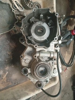 Cárteres Kawasaki KX 250 y despiece