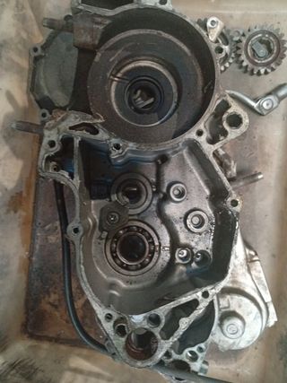 Cárteres Kawasaki KX 250 y despiece