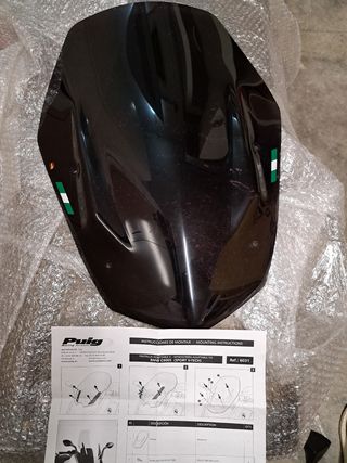 Cúpula ahumada Puig BMW C600S