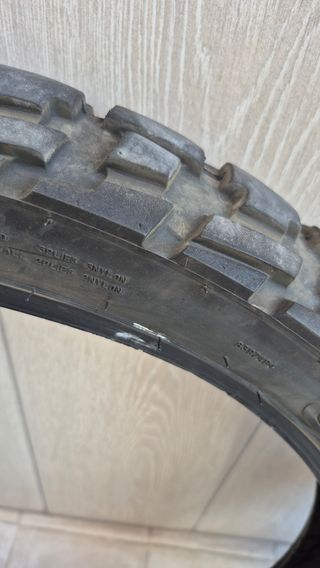 Neumáticos Dunlop trailmax raid