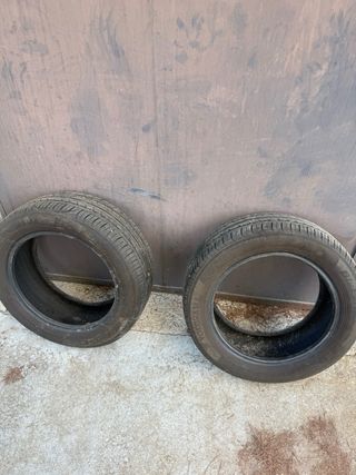 Neumaticos coche 205/55r16 91V