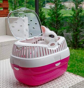 Transportín para conejos y cobayas