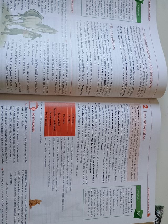 2°ESO Lengua castellana y Literatura+ORTOGRAFÍA