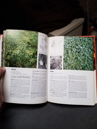 Libro Buenas Hierbas