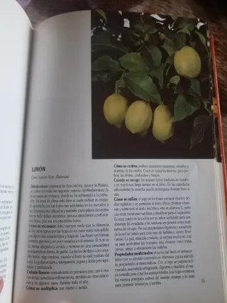 Libro Buenas Hierbas