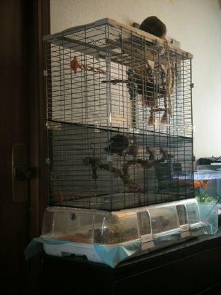 Jaula loros Visión L12 Transparente y Blanca