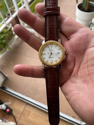 Reloj Viceroy Automático Dorado y Marrón