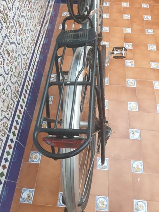 Bicicleta Trek gris