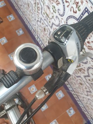 Bicicleta Trek gris