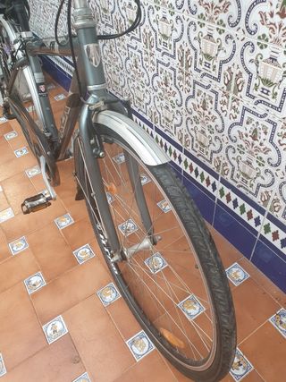 Bicicleta Trek gris