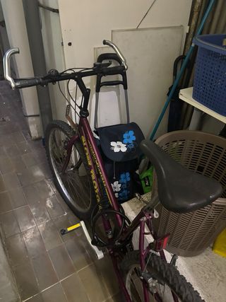 Bicicleta Morada Global Trotter