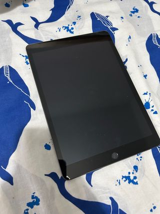 iPad 9ª Gen 10.2 64GB Gris Plata