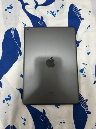 iPad 9ª Gen 10.2 64GB Gris Plata