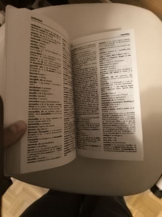 Larousse Diccionario Pocket / Larousse Pocket D...