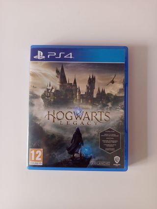 Hogwarts Legacy PS4 (PlayStation 4)