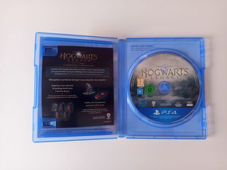 Hogwarts Legacy PS4 (PlayStation 4)