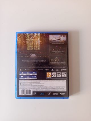 Hogwarts Legacy PS4 (PlayStation 4)