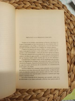 Punto ciego