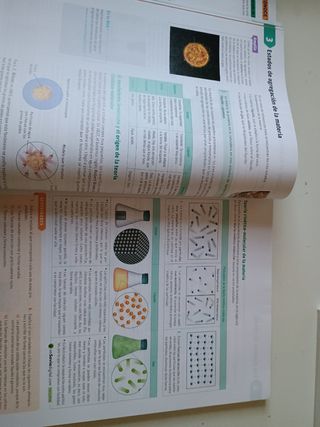 3°ESO.Física y química.Savia (Spanish Edition)