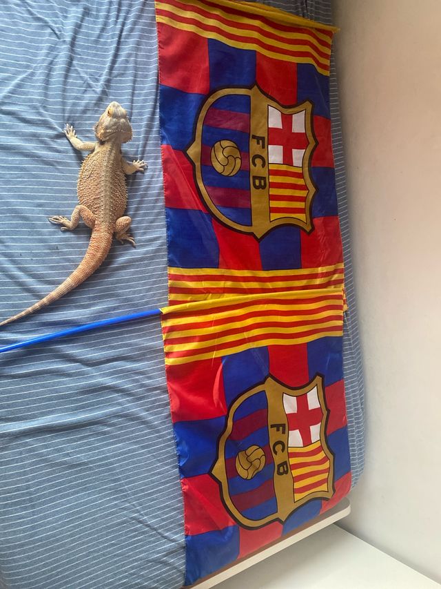 Bandera FC Barcelona