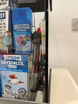 Kit Acuario Completo Pecera Agua Caliente