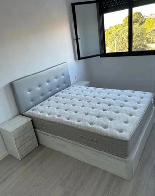 Canapé canapé canapé canapé canapé canapé canapé c