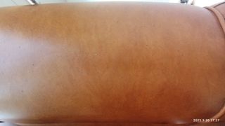 Sillón de piel marrón