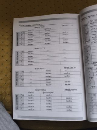 Pragma. (2ª Edición). (Spanish Edition)