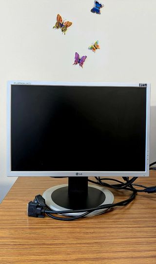 Monitor 19" LG Flatron Wide (incluye cable DVI)