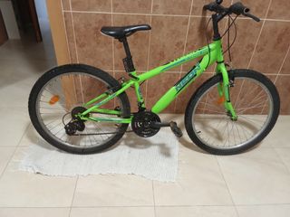Bicicleta Neon verde