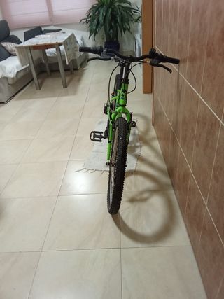 Bicicleta Neon verde