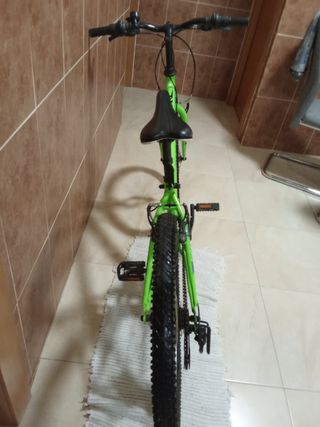Bicicleta Neon verde