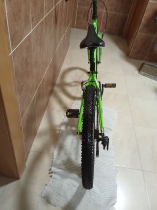 Bicicleta Neon verde
